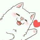 白菜大魔王的个人资料头像