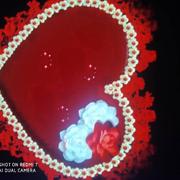 离散17的个人资料头像