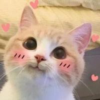 哎呦喂呗吡头像