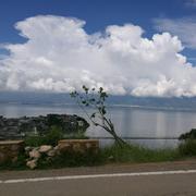 三宝的个人资料头像