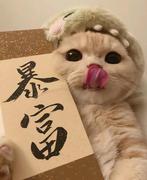 woo_hoo的个人资料头像