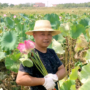 活力潘头像