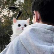 ABadBoy的个人资料头像