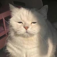 小唐说剧exe头像