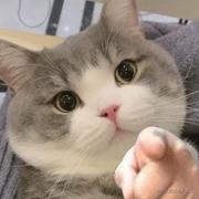 给我一把键盘的个人资料头像