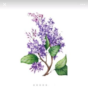 好奇泊头9e6头像