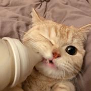 Du_Xong的个人资料头像