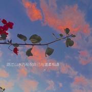 憨憨不会转弯的个人资料头像