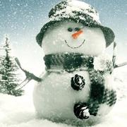 毛毛762的个人资料头像