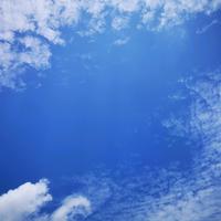 身未动心已远KN头像