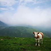 徐辉31的个人资料头像