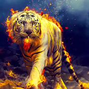 虎啸山林的个人资料头像