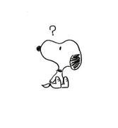 foolish的个人资料头像