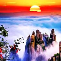 旭东1688头像