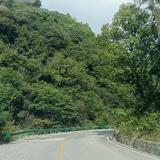 四川的月亮my头像