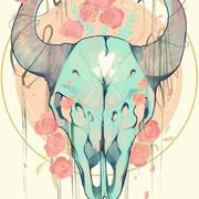 Akarilien的个人资料头像