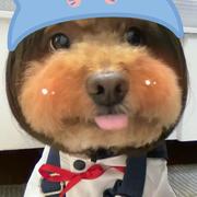 Ll615的个人资料头像