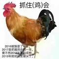 吃饭我洗碗头像