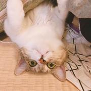 认真的你的个人资料头像