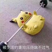 仰望星空的地底人的个人资料头像