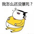 Teacher陈的个人资料头像