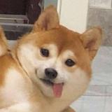 沫雨成殇头像