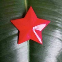 一脚油门一脚刹车头像