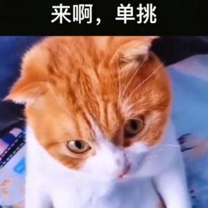 n    ə丬!7   I头像