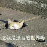 是阿银啊头像
