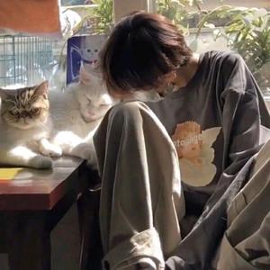喜庆的小红花nQ头像