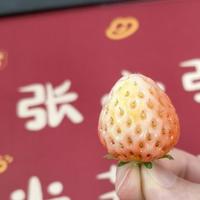 不是张国栋头像