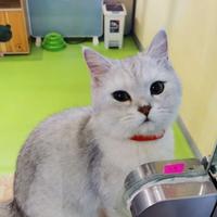 水晶矿洞127头像