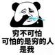 用户2684832021466头像