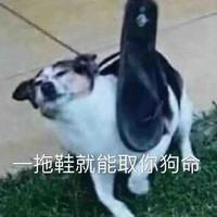 你是不是在看我网名哦头像