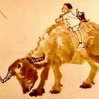 博学的饭团vhn头像