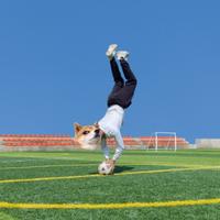 黝黑大表哥头像