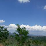 直爽星辰eZ0头像