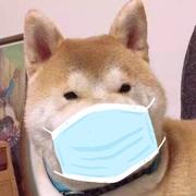 失业工程师的个人资料头像