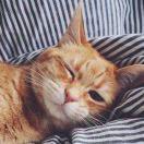 当当的个人资料头像