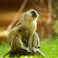 沧海一粟153676841头像