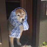 WwwwwwwJ头像