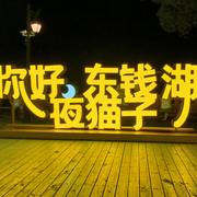高枕枕的个人资料头像