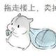 我糖尿病我女朋友蛀牙 · 零跑C11车主·车龄1年头像