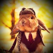 永无止境_的个人资料头像