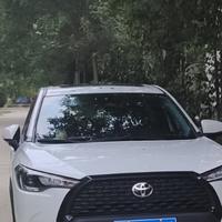 男人在路上头像