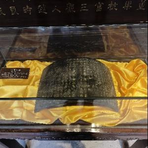 li大飞哥头像