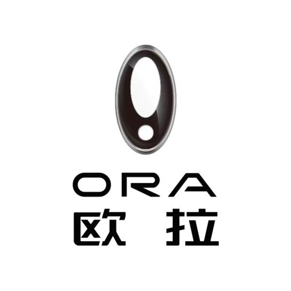 宿州信达欧拉店ORA头像