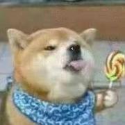 SPPJ的个人资料头像