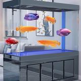 云飞水族馆头像