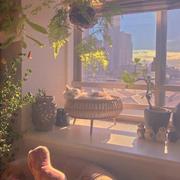 用户6062519662746的个人资料头像